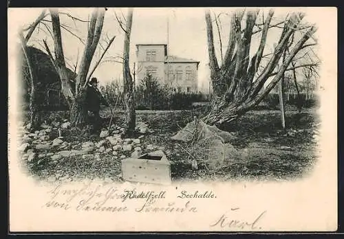 AK Radolfzell, Blick auf die Seehalde