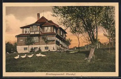 AK Wurzhof, Erziehungsanstalt mit Gänsen