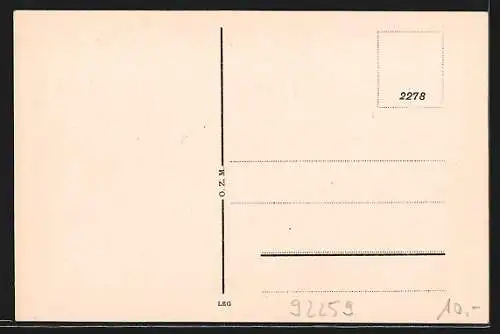 AK Amberg i. Obpf., Teilansicht mit Feldern