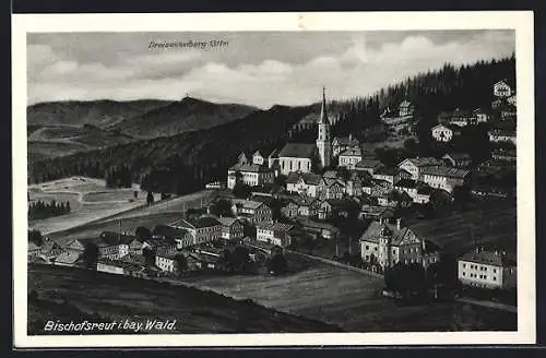 AK Bischofsreut, Ortsansicht