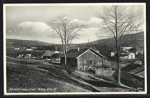 AK Altreichenau /bayr. Wald, Ortsansicht mit Wohnhäusern