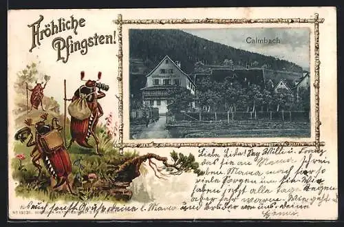 Präge-AK Calmbach, Gasthaus zur Sonne, Maikäfer mit Fernrohr, Pfingstgruss, Passepartout