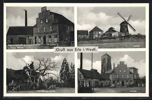 AK Erle i. Westf., Gasthaus u. Kolonialwarenhandlung v. Franz Wilms, Mühle, 1000 jährige Eiche