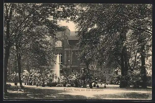 AK Essen, Motiv aus dem Stadtgarten