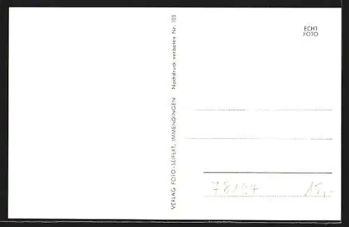 AK Immendingen, Strassenpartie, Brücke und Kirche