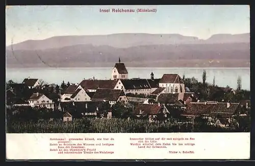 AK Reichenau / Baden, Ansicht gegen die Berge