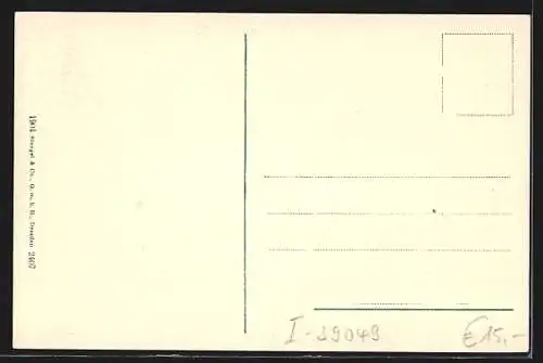 AK Sterzing in Tirol, Strassenpartie in der Neustadt