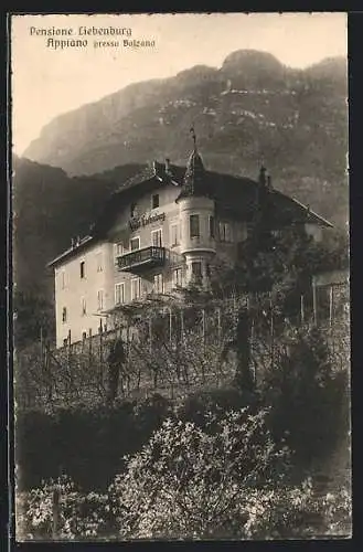 AK Appiano, Blick auf die Pension Villa Liebenburg
