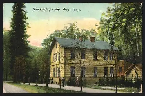 AK Bad Freienwalde, Gasthof Grüne Tanne