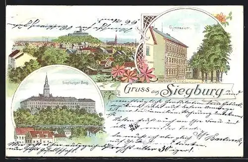 Lithographie Siegburg, Gymnasium, Siegburger Berg, Ortsansicht mit Burg