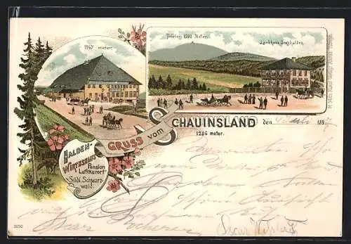 Lithographie Oberried / Breisgau, Halden-Gasthaus Schauinsland, Landhaus Dreyhalden