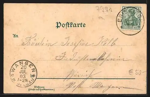 Lithographie Eriskirch a. B., Gasthaus z. Adler v. J. Brugger, Bahnhof, Gasthaus z. Anker