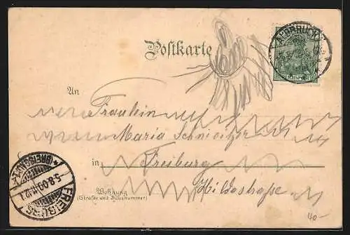 Lithographie Tiefenstein / Albbruck, Gasthaus zur Post, Ortsansicht mit Albtal