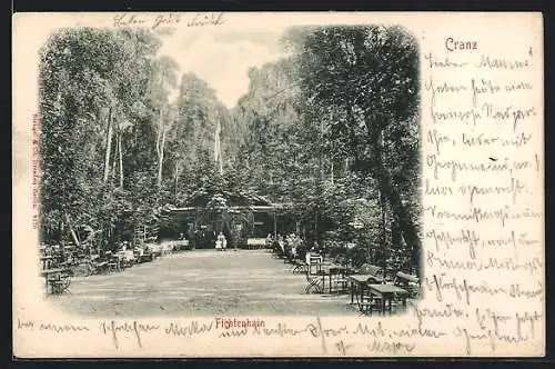 AK Cranz, Gasthaus Fichtenhain mit Garten