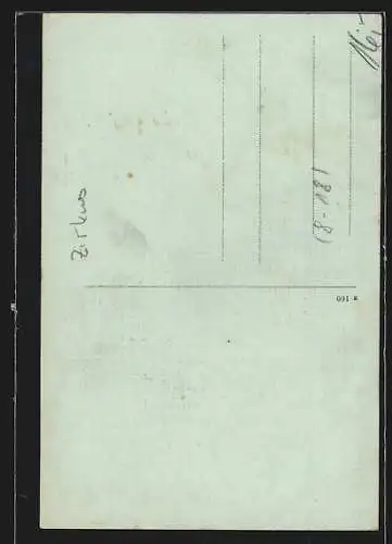 AK Zirkus, Frau Direktor Carola Gleich mit zwei Tigerbabies