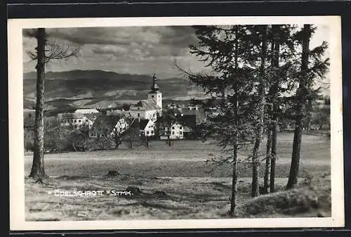 AK Edelschrott /Steiermark, Ortsansicht mit Kirche