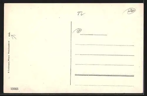 AK Landeck /Tirol, Totalansicht