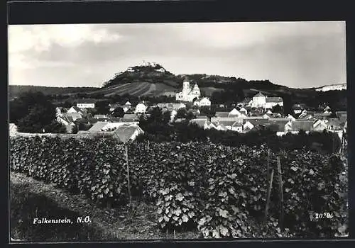 AK Falkenstein /N.-Ö., Gesamtansicht