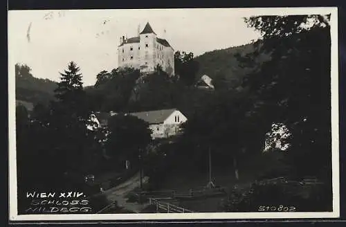 AK Sittendorf im Wienerwald, Schloss Wildegg