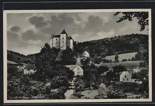 AK Sittendorf im Wienerwald, Schloss Wildegg