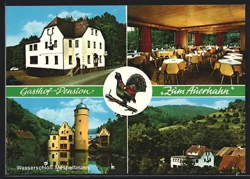 AK Hobbach /Spessart, Gasthof und Pension Zum Auerhahn, Wasserschloss Mespelbrunn
