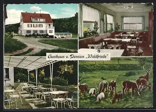 AK Wildensee i. Spessart, Gasthaus und Pension Waldfriede