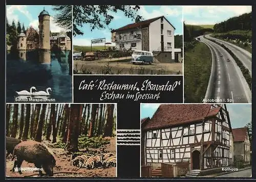 AK Eschau i. Spessart, Café-Restaurant Elsavatal, Schloss Mespelbrunn, Autobahn, Rathaus und Wildschweine im Wald