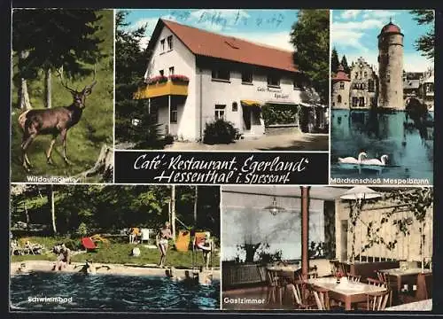 AK Hessenthal /Spessart, Café-Restaurant Egerland