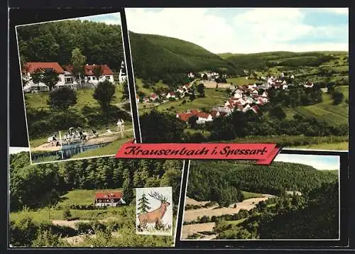 AK Krausenbach /Spessart, Totalansicht, Badestelle