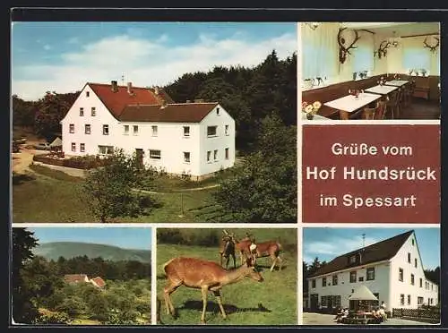 AK Eschau / Spessart, Gasthaus Hof Hundsrück, Innenansicht & Rehe