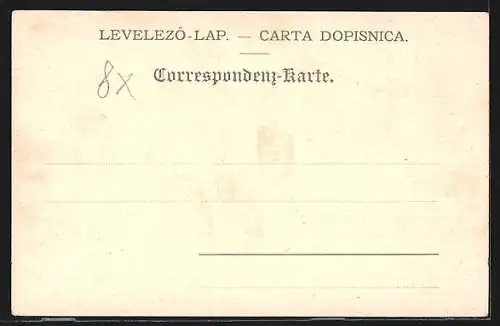 AK Agram, Ortsansicht aus der Vogelschau