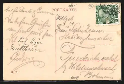 AK Baden bei Wien, Andreas Hofer-Zeile (Putschanerlucke)