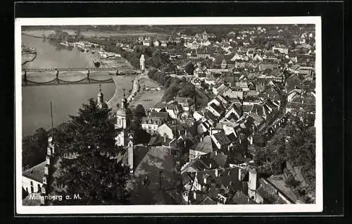 AK Miltenberg a. M., Blick über Dächer und Fluss