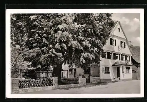 AK Schöllhütte beim Ebnisee, Gasthaus und Pension Zum Löwen
