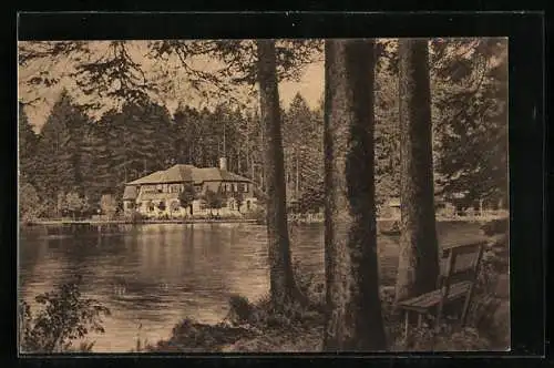 AK Lindenberg i. Allgäu, Waldsee mit Bank