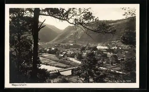 AK Walporzheim, Ortsansicht mit den Weinbergen am Kaiserstuhl