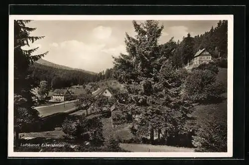 AK Erbersbronn, Kurhaus zum grünen Wald