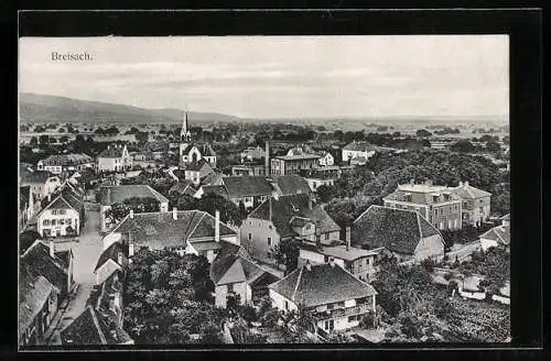 AK Breisach, Ortsansicht aus der Vogelschau