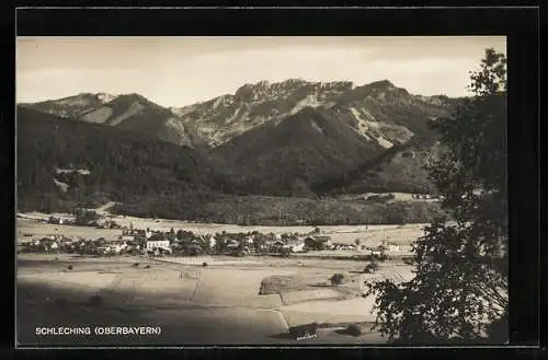 AK Schleching /Oberbayern, Ortsansicht mit Bergpanorama