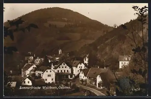 AK Waldbach /Oststmk., Ortsansicht mit Berghintergrund