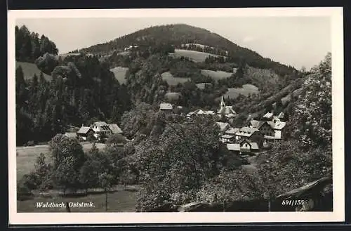 AK Waldbach /Oststmk., Ortsansicht mit Berghintergrund