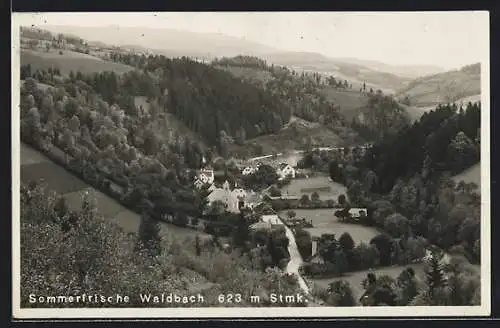 AK Waldbach /Stmk., Ortsansicht aus der Vogelschau