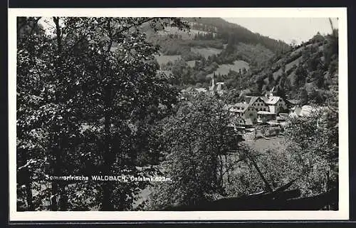 AK Waldbach /Oststmk., Teilansicht von bewaldeter Anhöhe aus