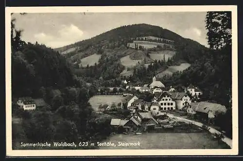 AK Waldbach, Blick über den Ort