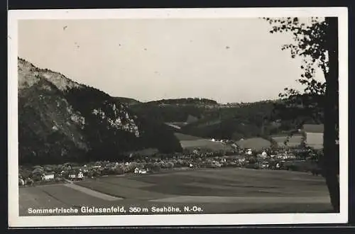 AK Gleissenfeld /N.Ö., Ortsansicht mit Berghang