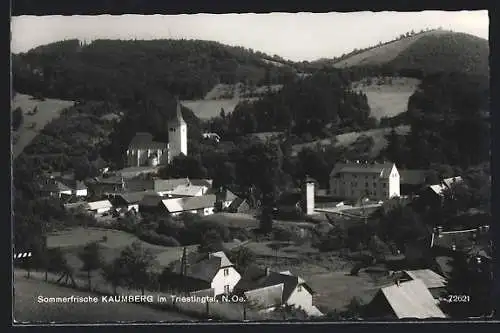 AK Kaumberg im Triestingtal, Ortsansicht bei Sonnenschein