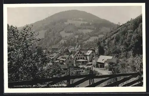 AK Waldbach /Oststmk., Ortsansicht bei Sonnenschein