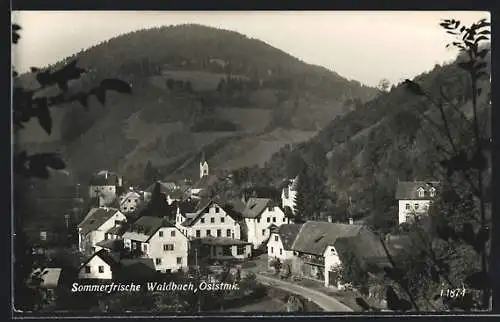 AK Waldbach /Oststmk., Ortsansicht vor bewaldeten Berghängen