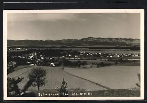 AK Schwarzau am Steinfelde, Panoramaansicht der Stadt