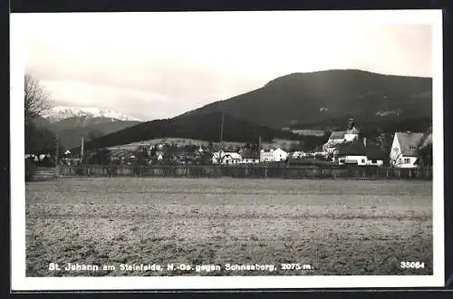 AK St. Johann am Steinfelde, Ortsansicht gegen Schneeberg